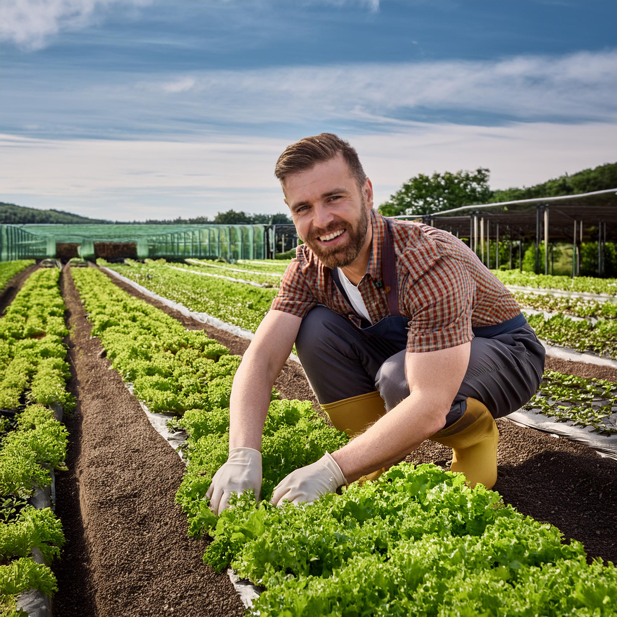 MBO-opleiding Vakbekwaam medewerker biologisch-dynamische landbouw