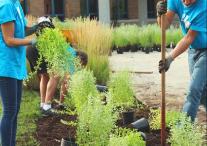 MBO-opleiding Vakexpert bloem, groen en styling