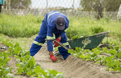 MBO-opleiding Vakbekwaam medewerker natuur, water en recreatie