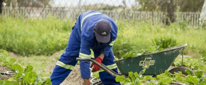 MBO-opleiding Vakbekwaam medewerker natuur, water en recreatie