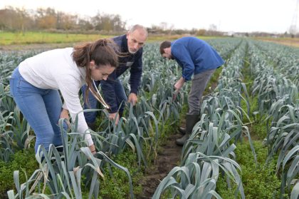 HBO-opleiding Tuinbouw en Akkerbouw