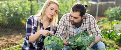 HBO-opleiding Tuin- en Landschapsinrichting