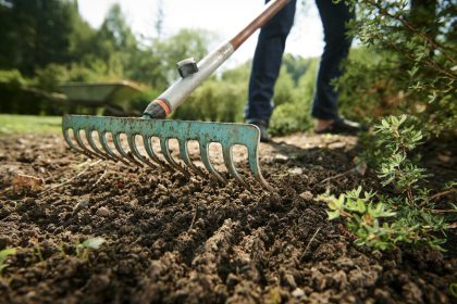 HBO-opleiding Tuinbouw & Agribusiness