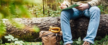 HBO-opleiding Bos- en Natuurbeheer